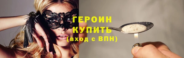 прущие грибы Няндома