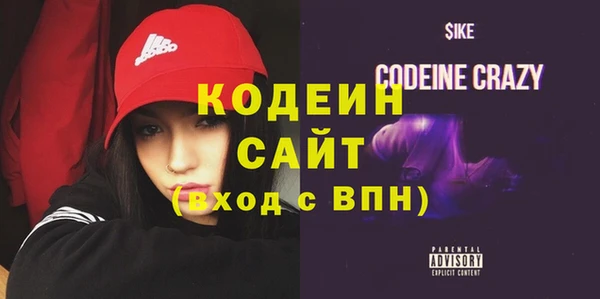 шишки Осташков