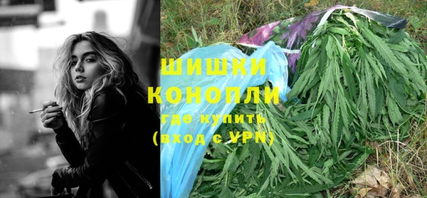 дмт Кондопога