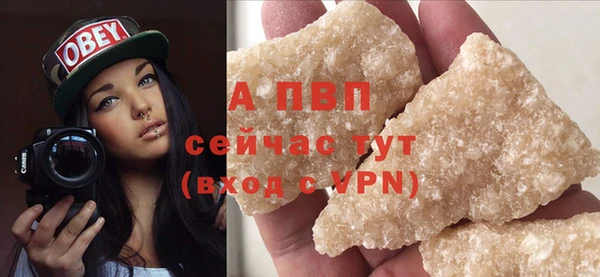 шишки Осташков