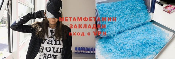 прущие грибы Няндома