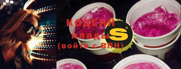 шишки Осташков